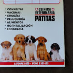 Soc Veterinaria Alvarado Formigli "Patitas" Calama, Chile