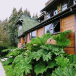 Hotel Terrazas Del Palena La Junta, Cochrane, Chile